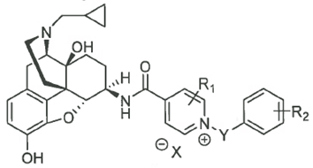 Structural Skeleton. Where X can be any anion, R1 and R2 can be any possible substitutions, Y can be any possible connection.