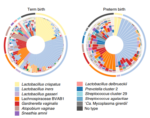 Vagitypes charts