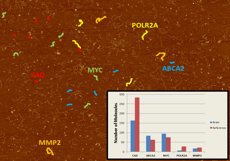 Image and chart showing single‐cell molecular profiling