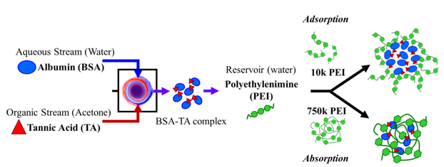 Encapsulation biologics process