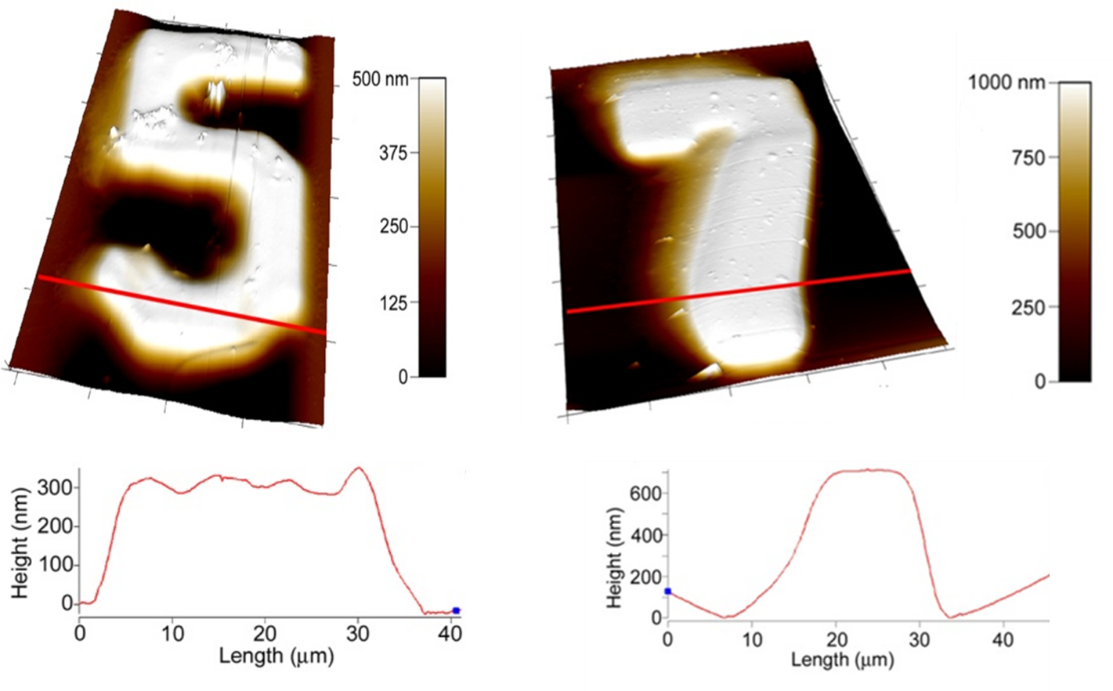 Image of micropatterns developed with FMA protein